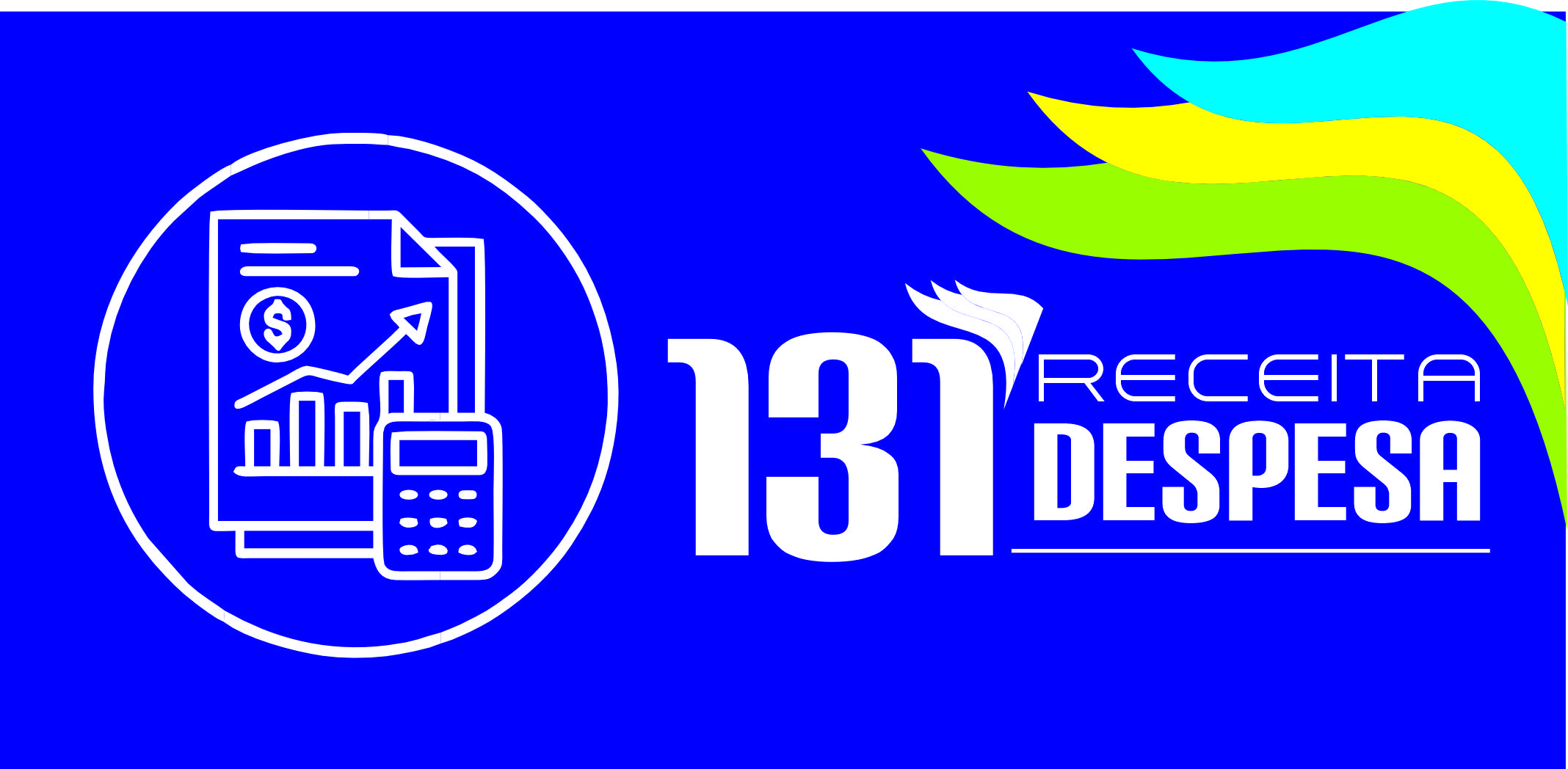 131 receita e despesas
